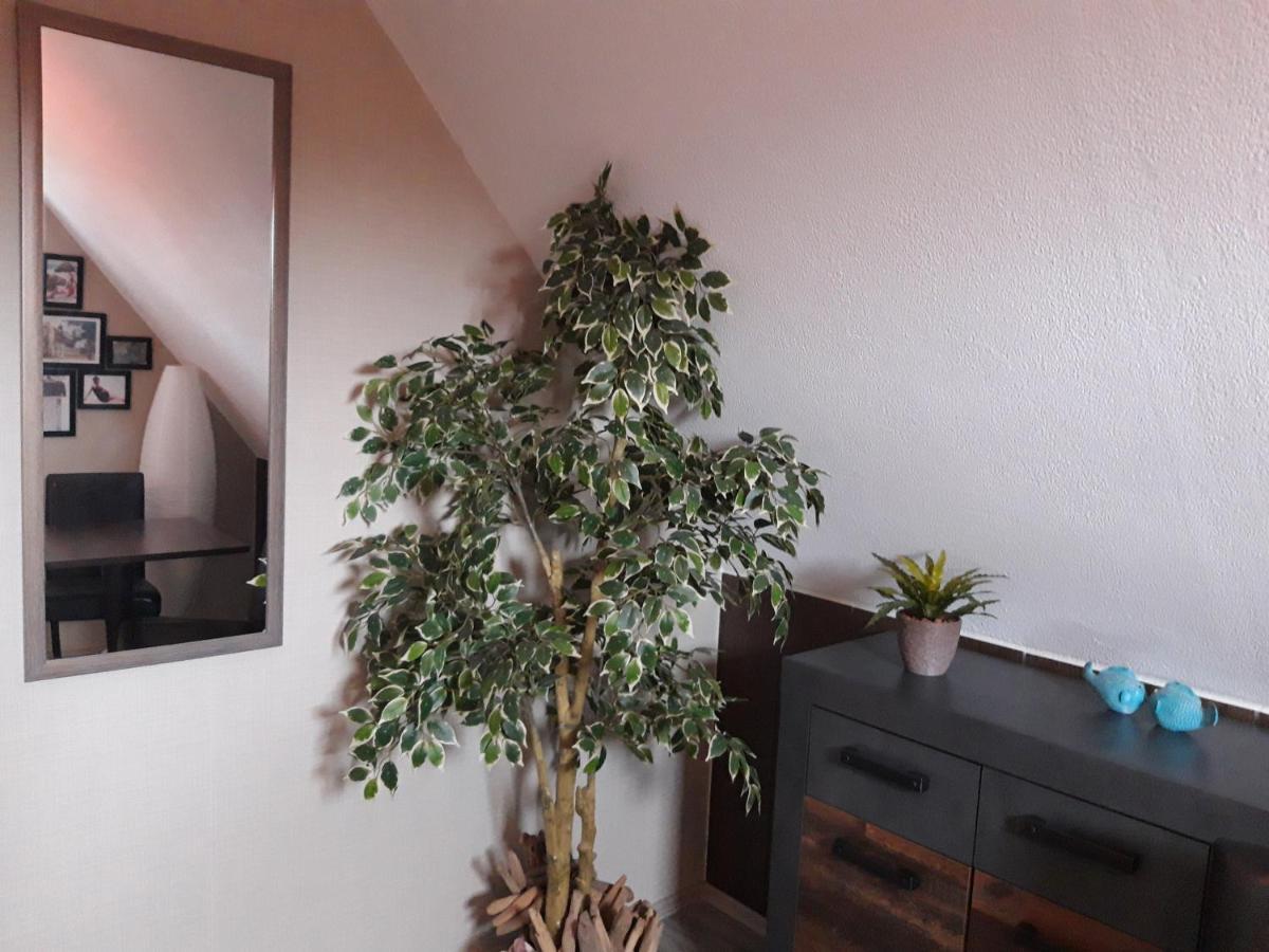 Ferienwohnung Dein Ostseetrip Ostseebad Kühlungsborn エクステリア 写真
